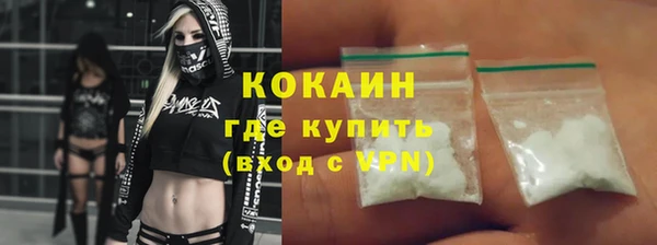 хмурый Алзамай