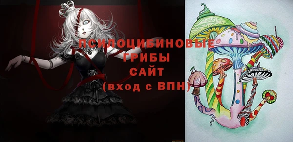 хмурый Алзамай