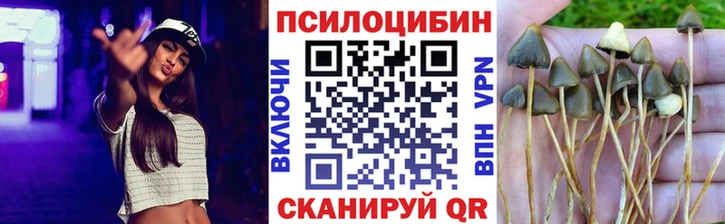 Галлюциногенные грибы Psilocybe  наркота  это состав  Себеж 