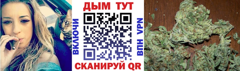 где продают   гидра как зайти  Канабис сатива  Себеж 